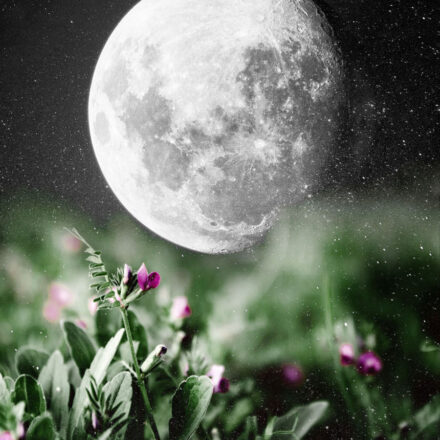 The Ancient Practice of Lunar Gardening