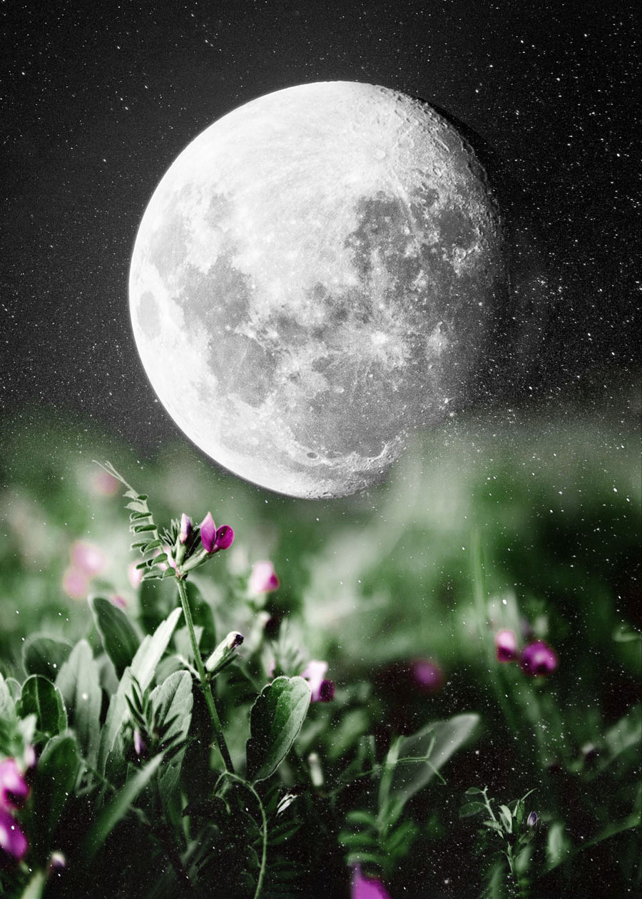 The Ancient Practice of Lunar Gardening