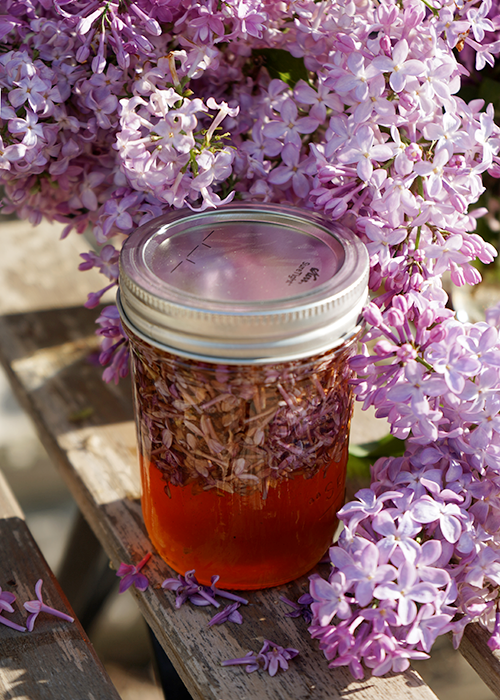 lilac infused honey herbal 