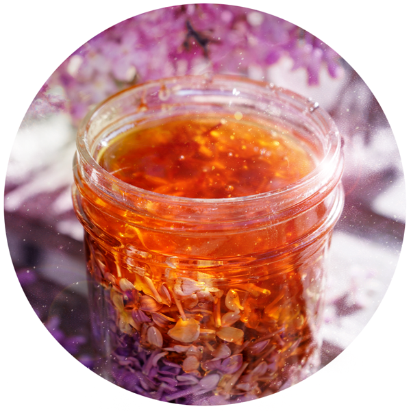 lilac infused honey herbal 