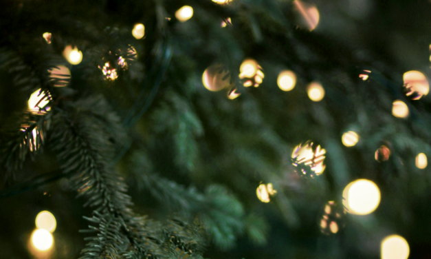 Eco-Alternatives for Traditional Christmas Trees